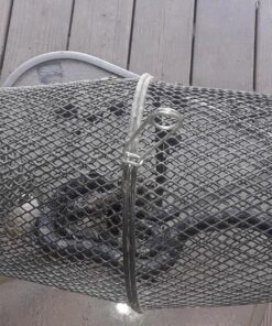 Eagle Claw Minnow Trap Black, 9-Inch x 16-1/2-Inch 8 81C2ASg3ALL