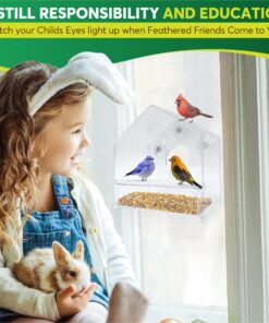 Nature Gear Window Bird Feeder - Refillable Sliding Tray - Weather Proof - Snow and Squirrel Resistant - Drains Rain Water - See Songbirds from Home! (House Style) (House Model) House 27 81C3EAcMjaL
