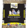 Wild Delight 099127 Bugs N' Berries Wild Bird Food, 4.5 Lb 4.5 Pound (Pack of 1) Standard Packaging 55 81C3NS0mVtL