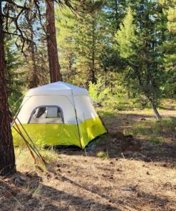 CORE 6 Person Instant Cabin Tent | Portable Large Pop Up Tent with Easy 60 Second Camp Setup for Family Camping | Included Hanging Organizer for Outdoor Camping Accessories Light Gray/Green 29 81C3k8LTPDL