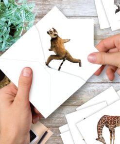 The Best Card Company - 10 Blank Yoga Note Cards (4x 5.12 Inch) - Boxed Notecards with Envelopes, Cute Animal Cards, Zen Assortment - Zoo Yoga M6547OCB 12 81C7Kz9hGaL