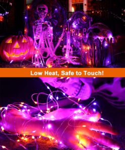 Brizled Purple Orange Halloween Fairy Lights, 19.47ft 60 LED Halloween Lights, 2 Mode Battery Purple Orange Lights, Indoor Silver Wire Halloween Twinkle Light for Halloween Themed Party Carnival Decor Purple & Orange 11 81C9q1hKedL