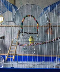 Prevue Hendryx Triple Roof Cockatiel Cage, Blue and White Blue & White 15 81CA779c54L 3