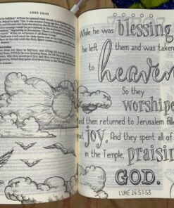 Tyndale NLT Inspire Bible (Softcover, Aquamarine): Journaling Bible with Over 400 Illustrations to Color, Coloring Bible with Creative Journal Space - Religious Gift that Inspires Connection with God Paperback 33 81CBhkLiwL