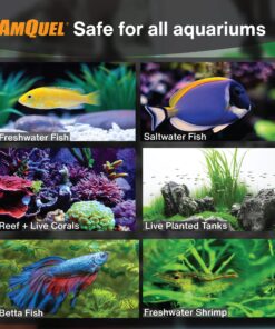 Kordon AMQUEL One-Step Aquarium Water Conditioner - Removes Chlorine & Chloramines Fast, Detoxifies Ammonia, for Freshwater & Saltwater Aquariums, 16-Ounces 10 81CDnUoVtVL