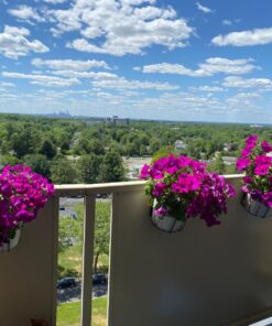 Panacea 89049 Ring Over The Deck Adjustable Flower Pot Holder, Black, 8-Inch 22 81CFhkrjJFL