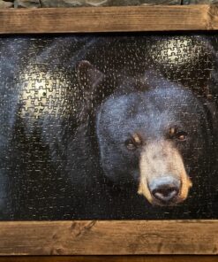 BESSEY VAS-23+2K, 23 ft Variable Angle Strap Clamp with 4 Clips 23' 40 81CFy3DpMnL