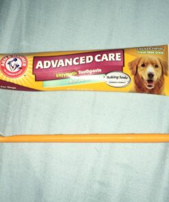 Arm & Hammer for Pets Fresh Breath Kit for Dogs | Contains Toothpaste, Toothbrush & Fingerbrush | Reduces Plaque & Tartar Buildup | Safe for Puppies, 3-Piece Kit, Chicken Flavor Dogs - Chicken Flavor 2.5 Oz (Pack of 1) 36 81CFzAYyzL