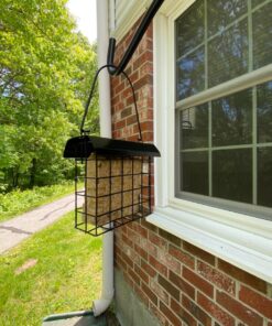 FORUP Suet Bird Feeder, Hanging Suet Feeder, Single Suet Cake Bird Feeder, One Suet Capacity 1 25 81CIlpMRxkL