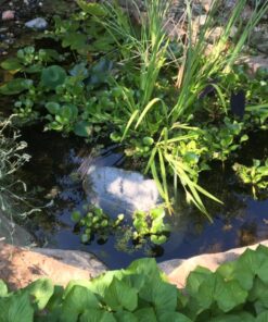 Emsco Group 2185 Large – Lightweight Landscape Rock-Resin, Granite 35 81CIoiIq3SL