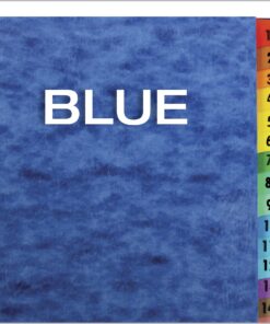 Pendaflex Expanding Desk File, Daily (1–31), Letter Size, Blue, Each (11013) (11013EE) , Black 13 81CJ lrUBwL