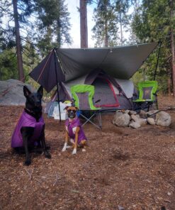 Kurgo Loft Dog Jacket, Reversible Dog Coat, Wear with Harness or Sweater, Water Resistant, Reflective, Winter Coat For Medium Dogs (Deep Violet, M) Deep Violet/Charcoal 51 81CKGXC6ZuL