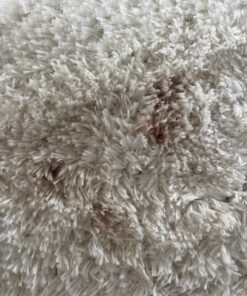 Folex Instant Carpet Spot Remover, 128oz Odor Free 128 Fl Oz (Pack of 1) 28 81CVL1IWqHL