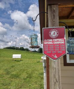 Perky-Pet 780 Outdoor Hanging Water Cooler Bird Waterer and Dispenser,Blue, 1.5 Qt Capacity 38 81CWE7uPhQL