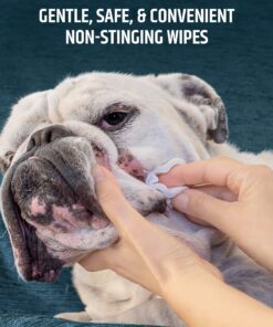 Pet MD Topical Wipes for Cleansing - with Aloe for Cats and Dogs - 50 Count 26 81Ca6rdrFgL