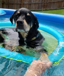 INTEX 28131EH Easy Set Inflatable Swimming Pool Set: 12ft x 30in – Includes 530 GPH Cartridge Filter Pump – Puncture-Resistant Material – 1485 Gallon Capacity – 23in Water Depth Above-Ground Pool 41 81CaiWAo3yL