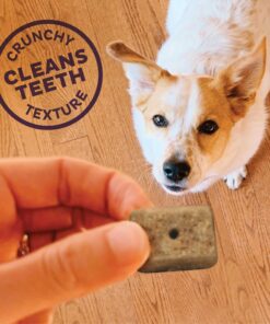 Old Mother Hubbard by Wellness Mother's Solutions Hip & Joint Natural Dog Treats, Crunchy Oven-Baked Biscuits, Ideal for Training, 20 ounce bag 14 81CdIzmqJnL