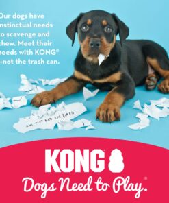 KONG - Puppy Toy Natural Teething Rubber - Fun to Chew, Chase and Fetch - for Small Puppies - Blue 24 81CeaY0OWeL 4
