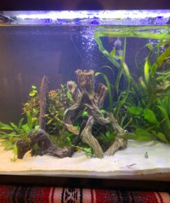 Marina Decor Mangrove Root, Large 48 81CgrQ65wPL