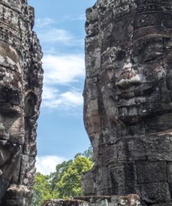 Nikon D500 DX-Format Digital SLR (Body Only), Base 91 81ChjUwdaYL