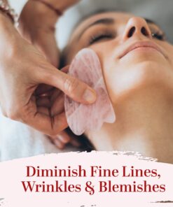 Better Shea Butter Organic Apricot Oil | 100% Pure, Cold Presssed | Massage Oil for Body and Face | Oil for Sensitive Skin | 4 oz 8 81CkYIk4l L