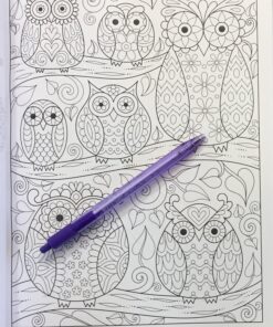 Groovy Owls Coloring Book (Coloring is Fun) (Design Originals) 32 Adorable Art Activities with Quiet, Stoic, Wise, and Happy Owls, plus Beginner-Friendly Advice, Techniques, Color Choices, & Examples Paperback, Coloring Book 41 81Cmz10RfaL