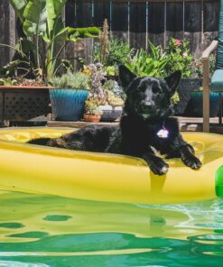 VICKEA Inflatable Pool Floats for Kids and Adults, Large Water Inflatable Pineapple Pool Float for Swimming Pool 31 81CndPF79lL