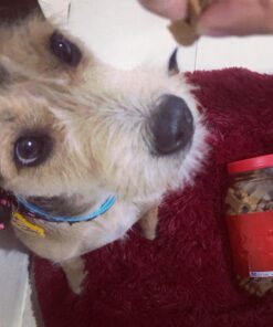 Milk-Bone Soft and Chewy Chicken 12 Vitamins and Minerals Recipe Healthy and Delicious Dog Snacks - 37 Ounces 14 81Cq EVafRL