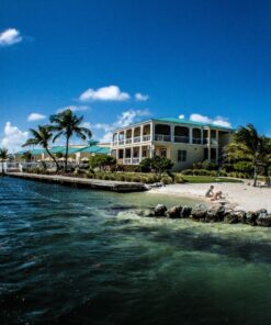 58mm Altura Photo Professional Accessory Kit for Canon EOS Rebel T8i T7i T7 T6i T6 SL3 DSLR – Wide Angle & Fisheye Lens, Filter Kit (Macro Close-Up Set, UV, CPL, ND4) & More Accessories Standard Packaging 31 81Cqbqhq5HL