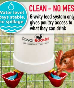 Royal Rooster 1 Gallon Automatic Twin Chicken Waterer with 2 Gravity-Feed Valve-Operated Drinking Cups - Indoor and Outdoor Coop Hanging Chicken, Duck and Poultry Water Dispensing System 15 81CqpmNHRoL