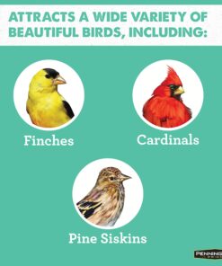 Pennington Pride Wild Finch Blend Wild Bird Seed , 10 lb 9 81CvRyhYrJL