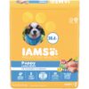 IAMS Smart Puppy Large Breed Dry Dog Food with Real Chicken, 30.6 lb. Bag 30.6 Pound (Pack of 1) 14 81Cy4Si COL