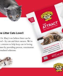 Dr. Elsey's Premium Clumping Cat Litter - Cat Attract - 99% Dust-Free, Low Tracking, Hard Clumping, Superior Odor Control, Natural Herbal Attractant, Unscented & Natural Ingredients, 40 lb 40 Lb / 18.14 Kg 28 81D1I5Jkq1L