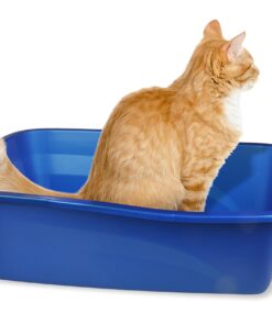 Pureness Giant Cat Litter Pan, Assorted Colors 28 81D2eEcJpZL