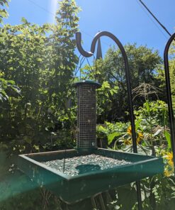 Premium Steel Sunflower Seed and Peanut Feeder, 9.5" Tall, Wild Bird Feeder for Woodpeckers, Titmice, Nuthatches, Chickadees, Jays and More, Gifts for Mom, for Women, Gifts for Dad 9.5 inch 34 81D69lv0NvL