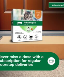 Advantage II Small Cat Vet-Recommended Flea Treatment & Prevention | Cats 5-9 lbs. | 4-Month Supply 4 Pack Small Cat only 25 81D6KrPbJWL