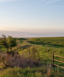 Sigma 18-35mm F1.8 Art DC HSM Lens for Nikon US Version 59 81D8nBd0UwL