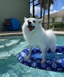 SwimWays Paddle Paws Spring Float Dog Raft, Small (0-65 lbs.) 23 81D90sOPLRL