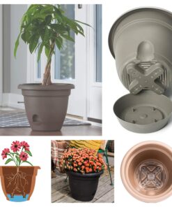 Bloem FBA LP1246 Lucca Planter, 12-Inch, Terra Cotta 12" 10 81DAkntZXuL 1