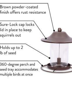 Perky-Pet 312-1SR Outdoor Panorama Wild Bird Feeder - 2 Lb Seed Capacity Brown 32 81DCm1WRKUL
