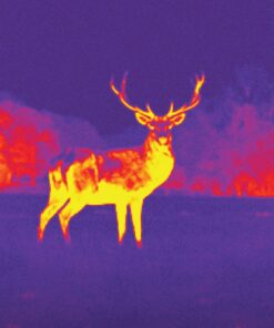 Seek Thermal CompactXR – Outdoor Thermal Imaging Camera for Android MicroUSB, Black (UT-AAA) 43 81DDnW7DHQL