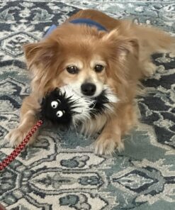 Outward Hound Tail Teaser Durable Dog Wand with Soft Plush Toys 27 81DFIaVsPUL