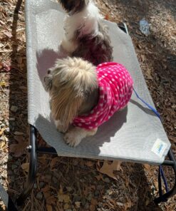 COOLAROO The Original Cooling Elevated Dog Bed, Indoor and Outdoor, Medium, Grey 42.0"L x 25.5"W x 8.0"Th 28 81DHIDkC3XL