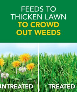 Scotts Turf Builder Weed & Feed3, Weed Killer Plus Lawn Fertilizer, Controls Dandelion and Clover, 5,000 sq. ft., 14.29 lbs. 5,000 sq. ft. Weed and Feed 32 81DMywGz8FL