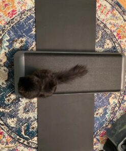 The Step Original Aerobic Platform, Health Club Size Steppers for Exercise with risers for adjustable Home Workout, stair stepper for exercise and home gym 4 Risers Grey 50 81DOptVNCjL