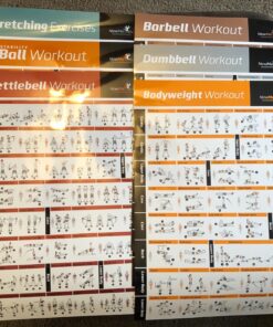 NewMe Fitness Workout Posters for Home Gym - Exercise Posters for Full Body Workout - Core, Abs, Legs, Glutes & Upper Body Training Program Kettlebell 1 19 81DSMK2gT1L