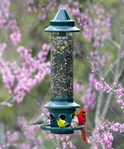 Squirrel Buster Plus Squirrel-proof Bird Feeder w/Cardinal Ring and 6 Feeding Ports, 5.1-pound Seed Capacity, Adjustable, Pole-mountable (POLE ADAPTOR SOLD SEPARATELY), Green 35 81DSWaeHODL