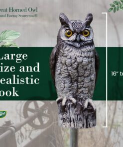 Dalen Fake Owl Decoy to Scare Birds Away from Gardens, Rooftops, and Patios - Scarecrow Provides Chemical-Free Pest Control - Safe and Humane, 16" Great Horned Owl 24 81DTBcGZRhL
