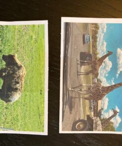 Avery Removable Labels, 4" x 6" Blank Labels, Laser/Inkjet Printable Labels, 40 Labels per Pack (5454) 22 81DTHHuZ0oL