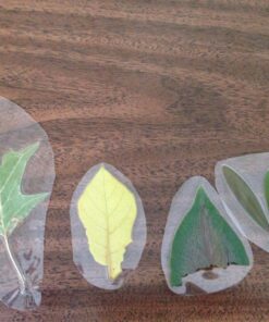 GBC Thermal Laminator Machine, Inspire, 9 Inch, Quick Warm-Up, 3 or 5 Mil, with 5 Standard Laminating Pouches for Home, Office and Classroom, Black (1701857) Frustration-Free Packaging 36 81DXV2VlbrL